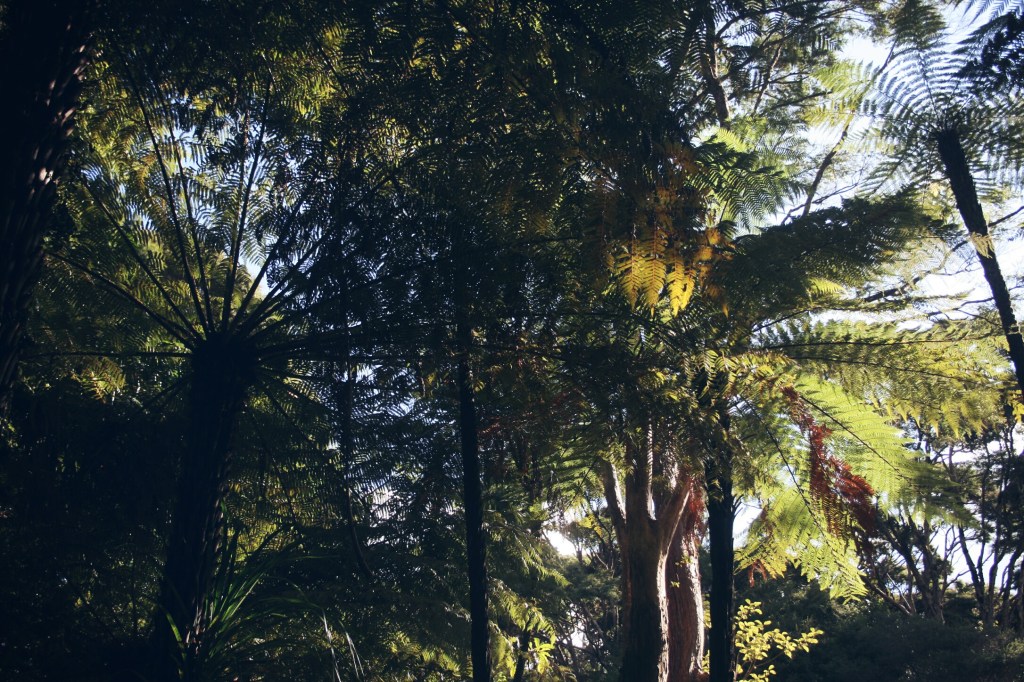Te Atatu, Waitakere und ein&nbsp;Wiedersehen