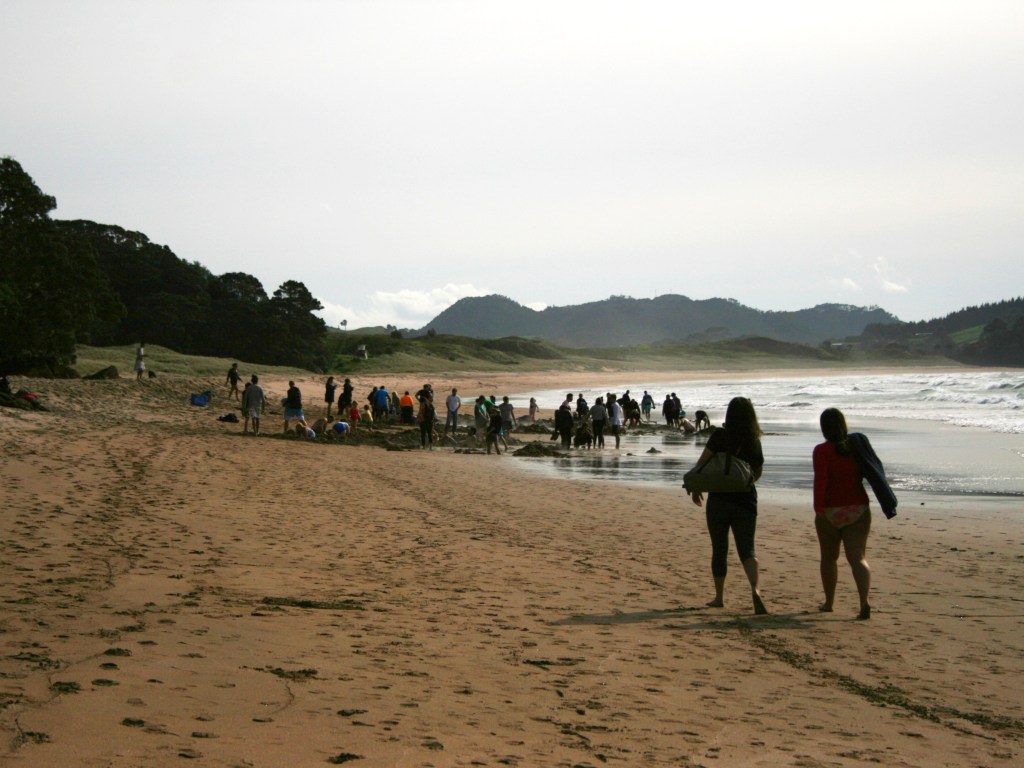 Coromandel – Mitten im&nbsp;Nirgendwo