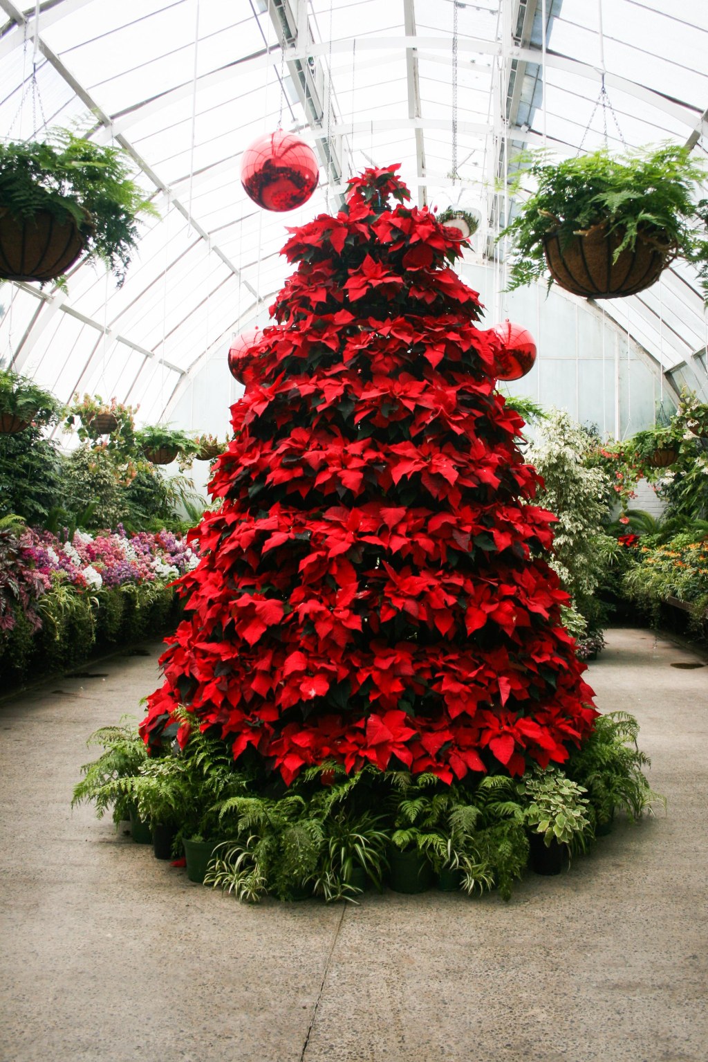 Weihnachten und Silvester in&nbsp;Neuseeland