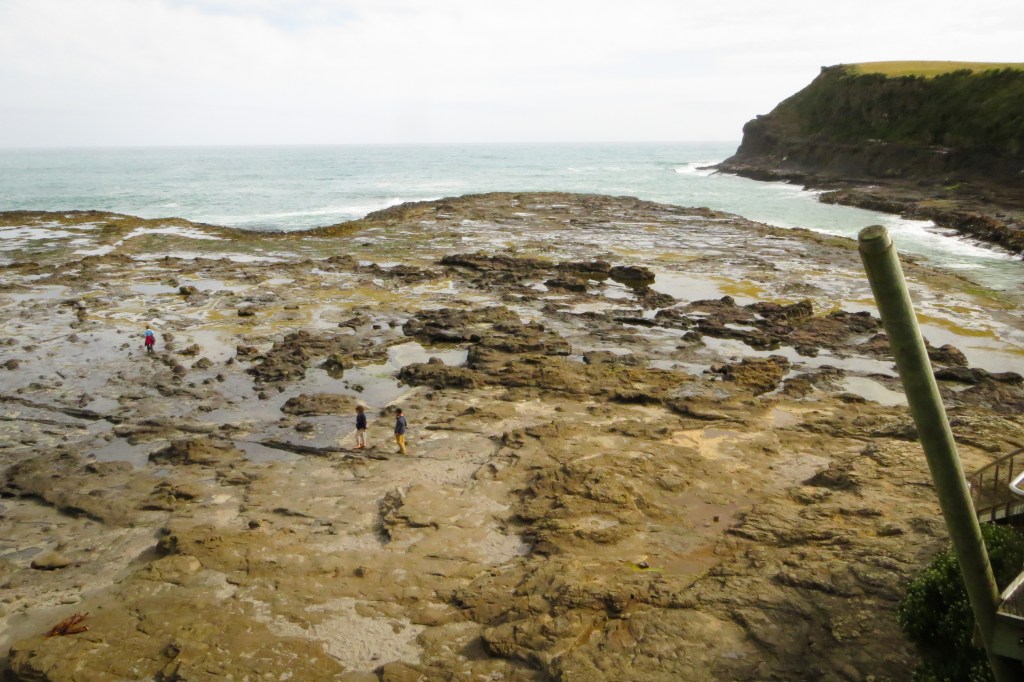 The Catlins (Teil 2) – am südlichen Rande der&nbsp;Welt